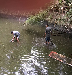 2捕魚(yú) (1).jpg